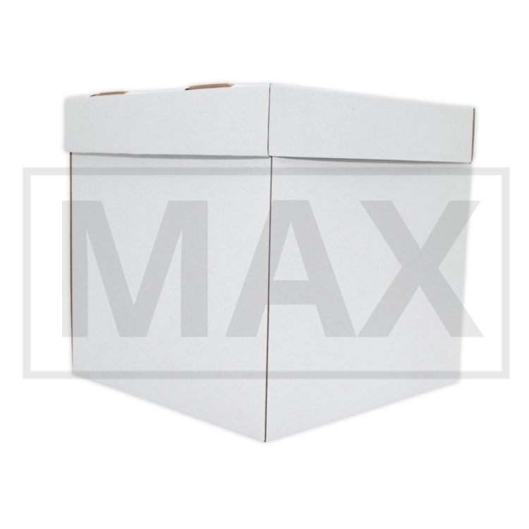 EASY MAX.png