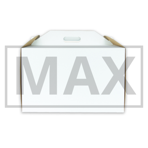 max 40.png