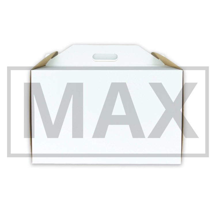 max 40.png