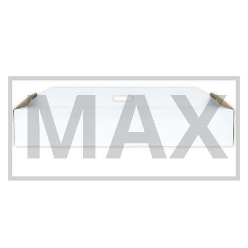 100x30 max.png