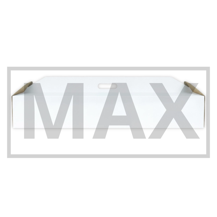 100x30 max.png