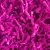 Shocking Pink.jpg