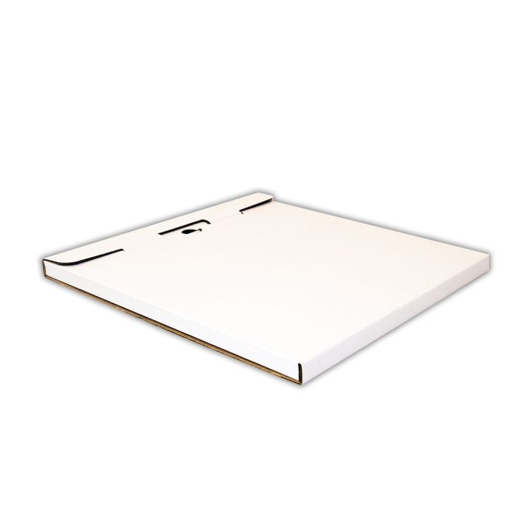 analog zwykly biel2.jpg